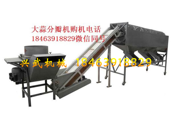大蒜分瓣分选机.jpg 大蒜分瓣分选机