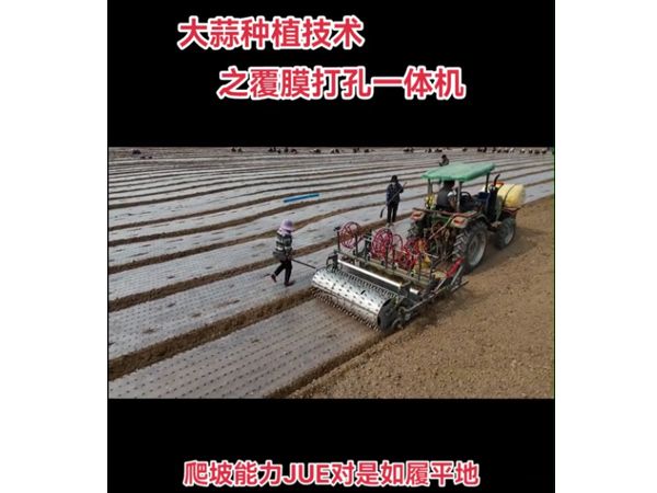 大蒜洋葱覆膜打孔一体机视频